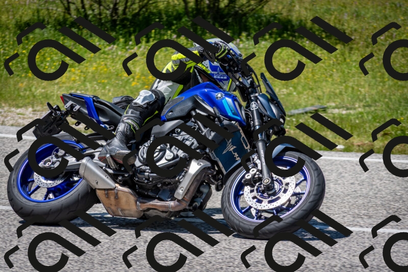 202506081351-DSC_7856_c2