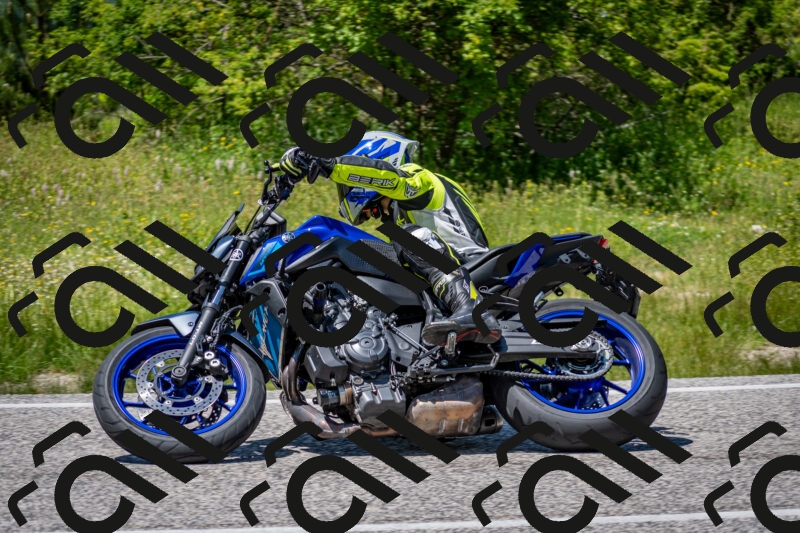 202506081352-DSC_7859_c2