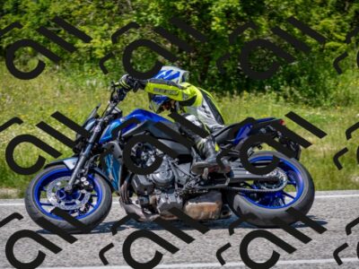 202506081352-DSC_7859_c2