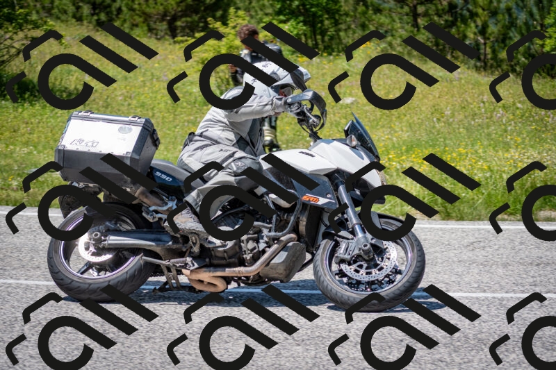 202506081352-DSC_7862_c2