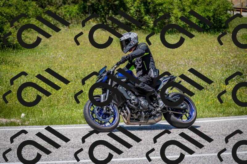 202506081352-DSC_7868_c2