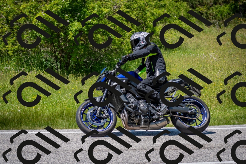 202506081352-DSC_7869_c2