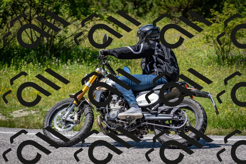 202506081352-DSC_7870_c2