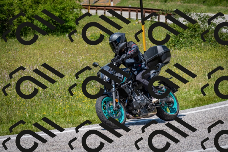 202506081353-DSC_7877_c2