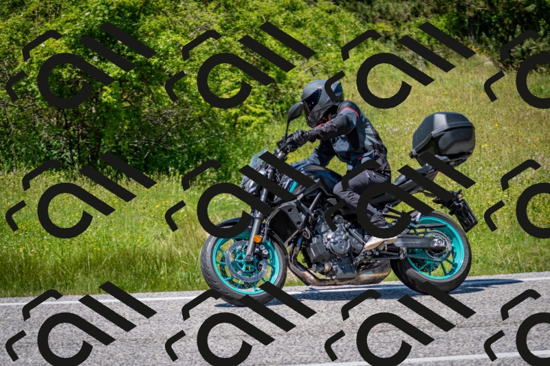 202506081353-DSC_7878_c2