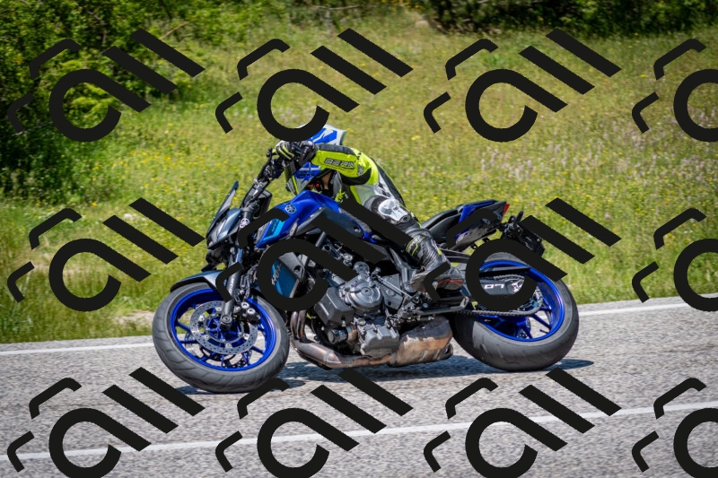 202506081353-DSC_7879_c2