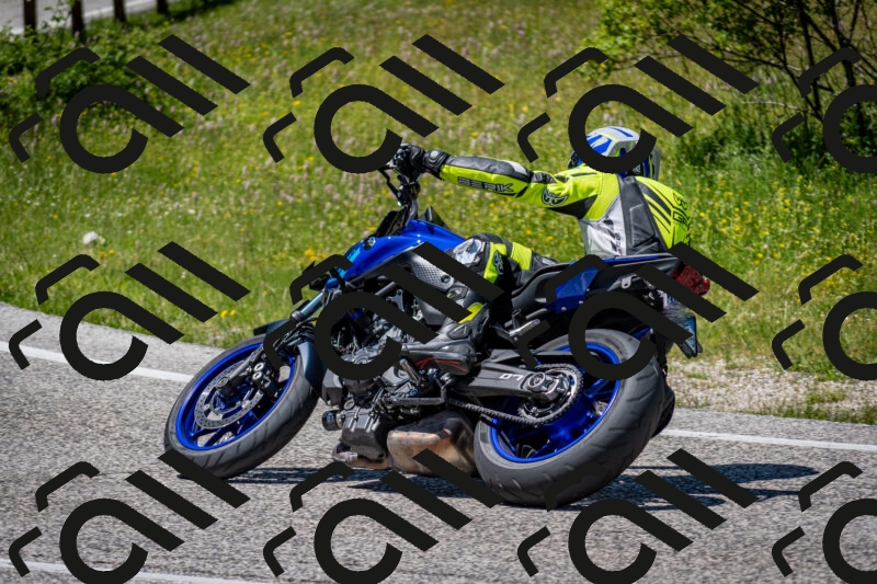 202506081353-DSC_7880_c2