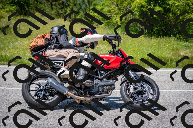 202506081355-DSC_7889_c2