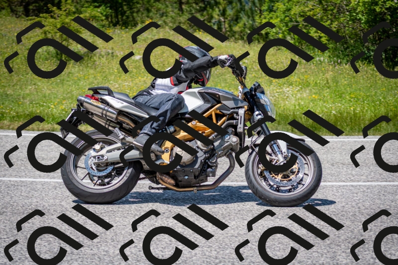 202506081356-DSC_7895_c2