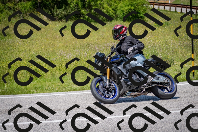 202506081357-DSC_7899_c2