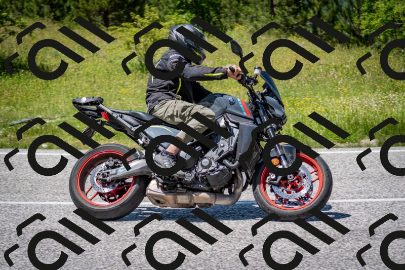 202506081359-DSC_7905_c2