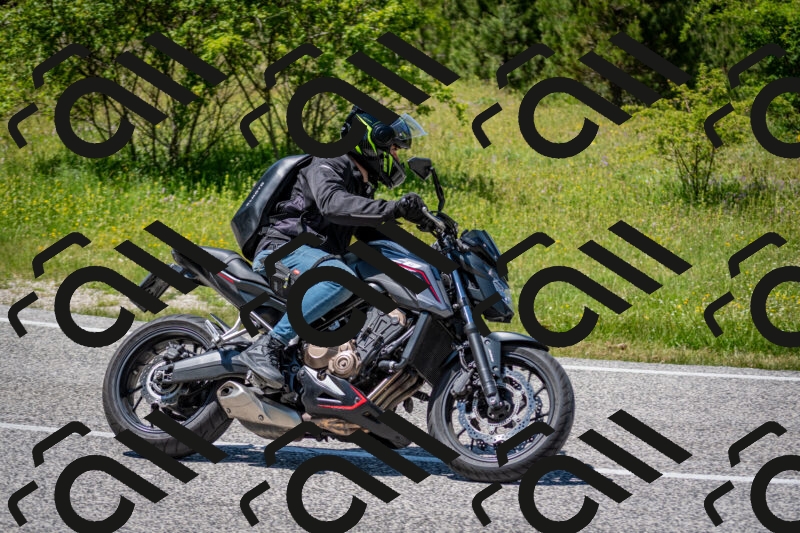 202506081359-DSC_7907_c2