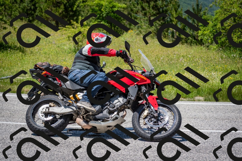 202506081359-DSC_7911_c2