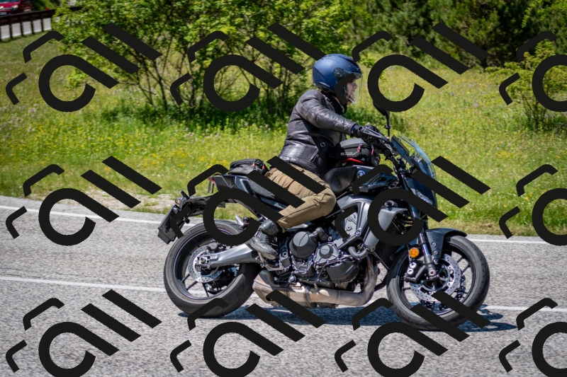 202506081359-DSC_7914_c2