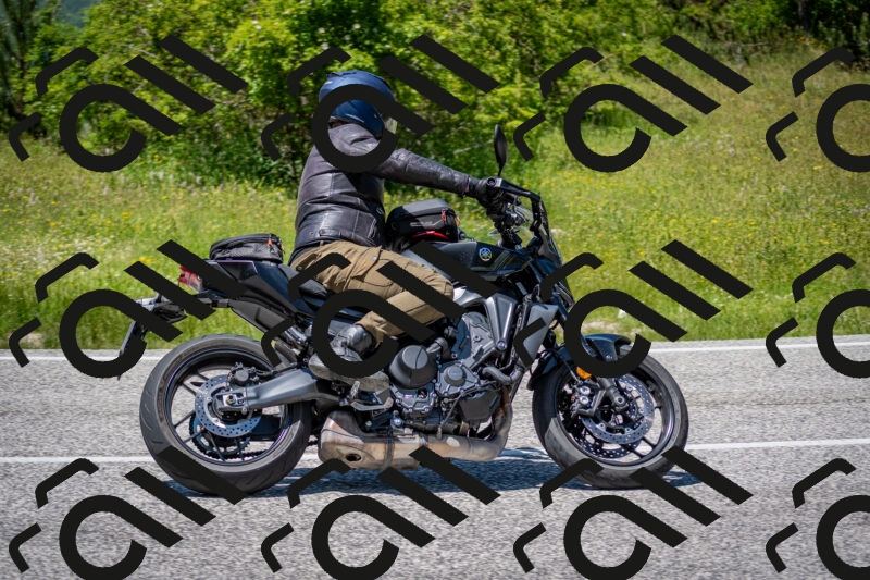 202506081359-DSC_7915_c2