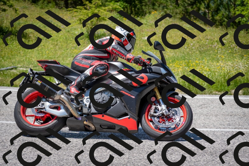 202506081400-DSC_7928_c2