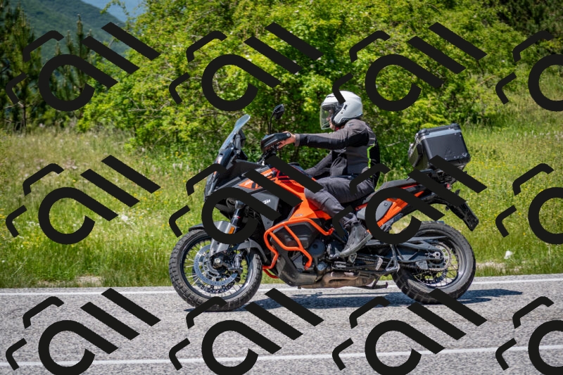 202506081403-DSC_7945_c2