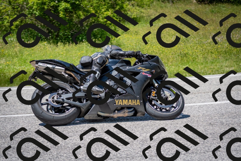 202506081404-DSC_7949_c2