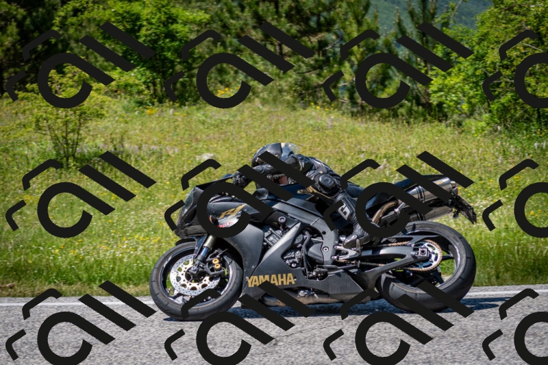 202506081405-DSC_7963_c2