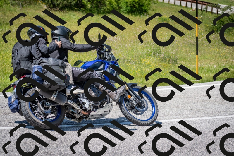 202506081410-DSC_7969_c2