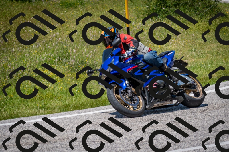 202506081411-DSC_7971_c2