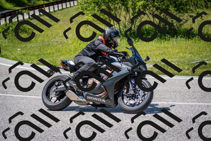 202506081415-DSC_7979_c2