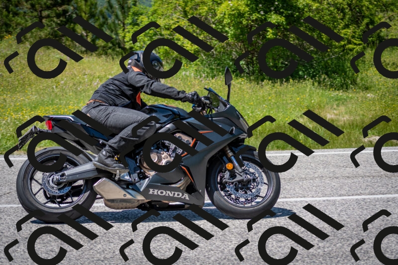 202506081415-DSC_7980_c2