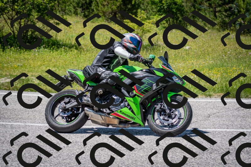 202506081415-DSC_7982_c2