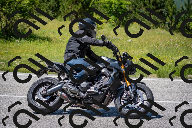 202506081415-DSC_7985_c2