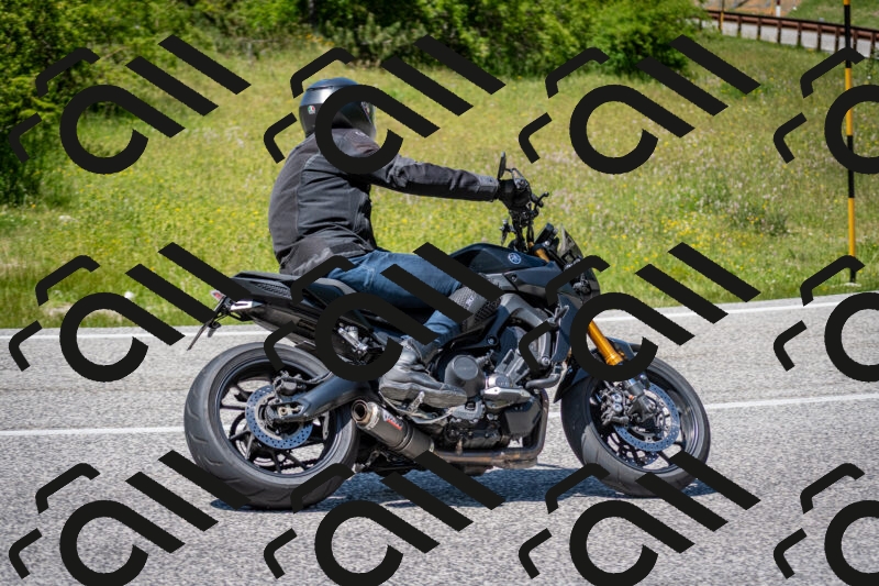 202506081415-DSC_7986_c2