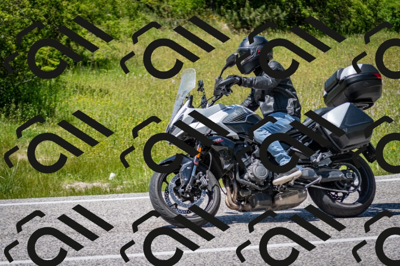 202506081415-DSC_7988_c2