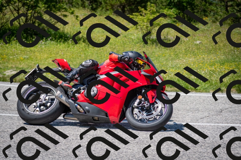 202506081416-DSC_7998_c2