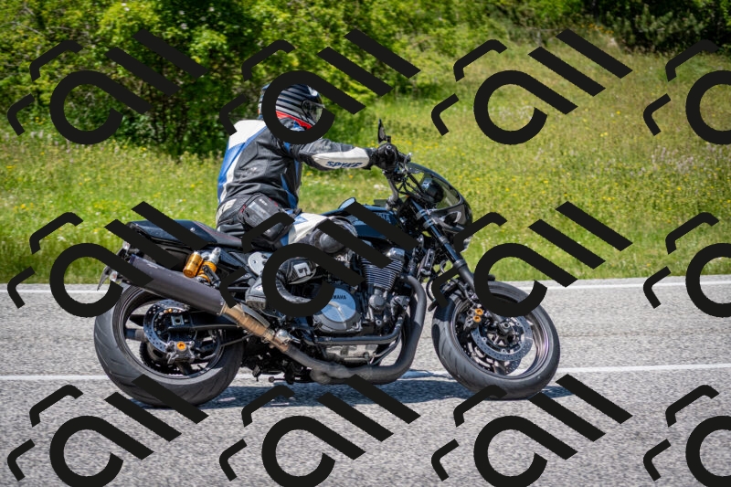 202506081417-DSC_8007_c2