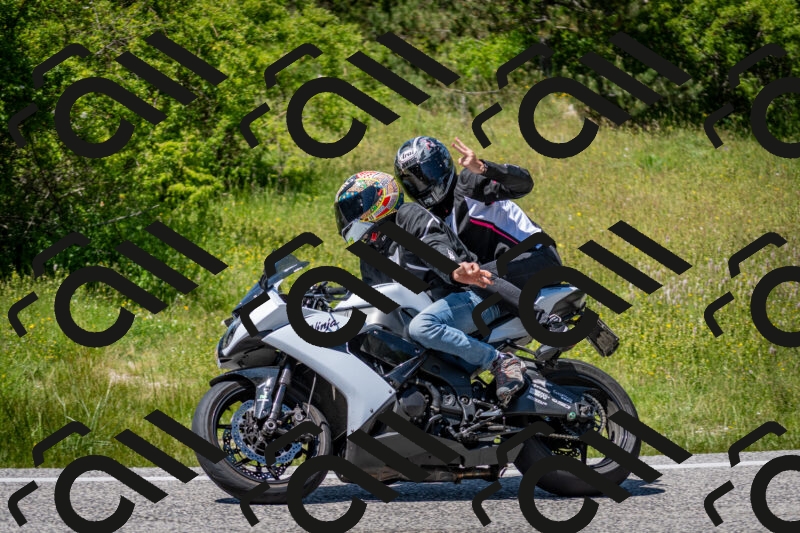 202506081417-DSC_8012_c2