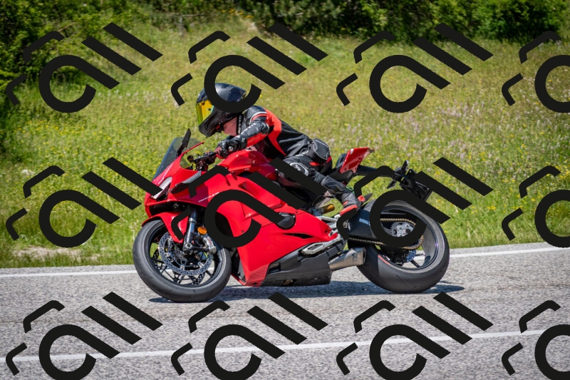 202506081417-DSC_8014_c2