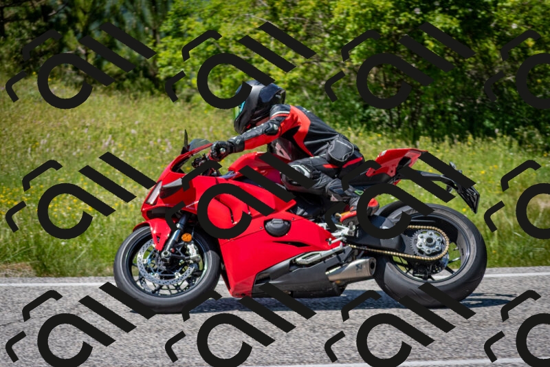 202506081417-DSC_8015_c2