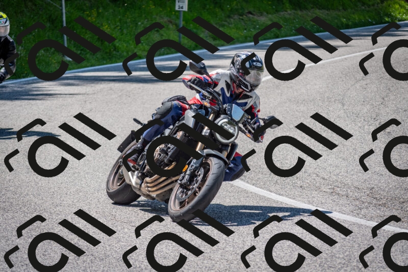 202506081418-DSC_8020_c2