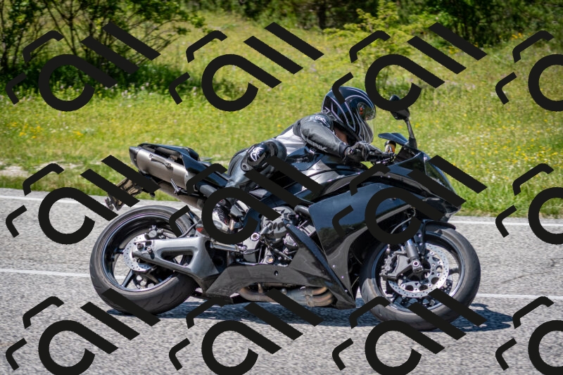 202506081418-DSC_8028_c2