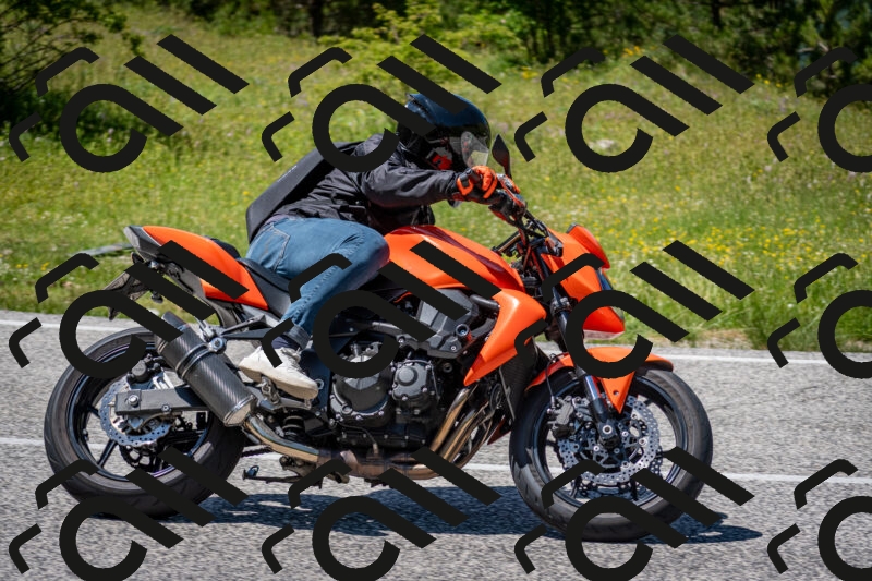 202506081419-DSC_8040_c2