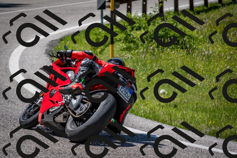 202506081419-DSC_8048_c2