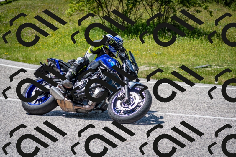 202506081419-DSC_8052_c2