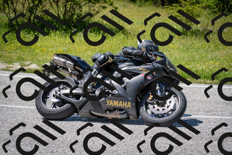 202506081419-DSC_8054_c2