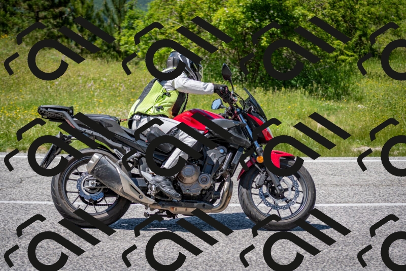 202506081420-DSC_8060_c2