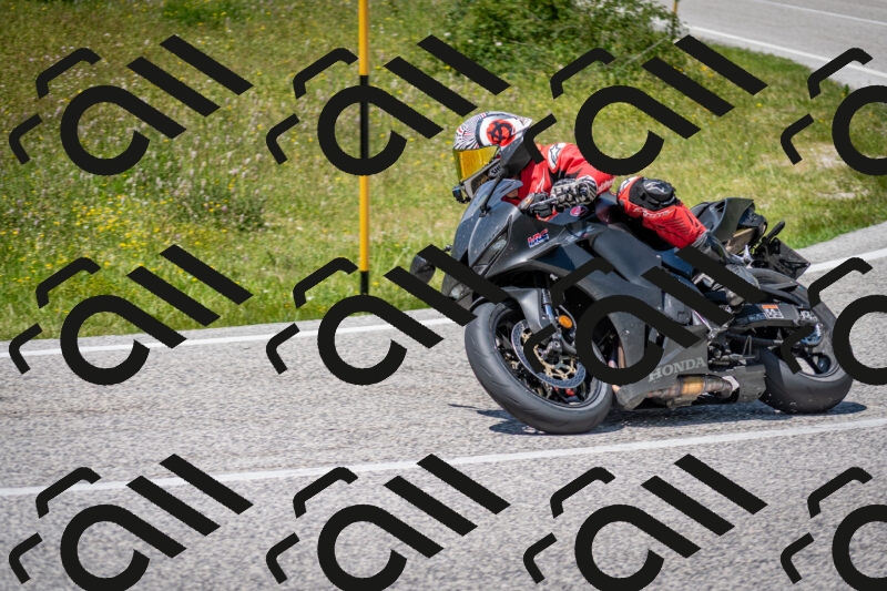 202506081421-DSC_8063_c2