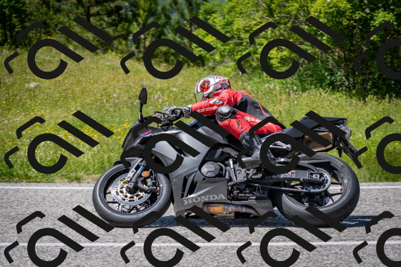 202506081421-DSC_8064_c2