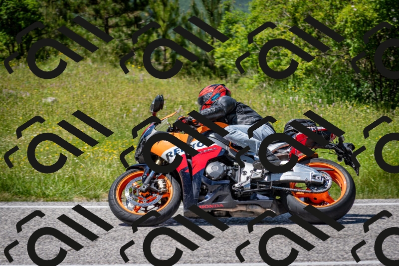 202506081421-DSC_8069_c2