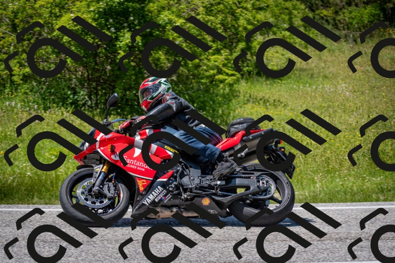 202506081421-DSC_8070_c2