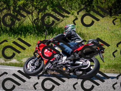 202506081421-DSC_8071_c2