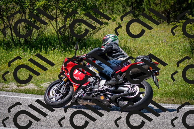 202506081421-DSC_8071_c2