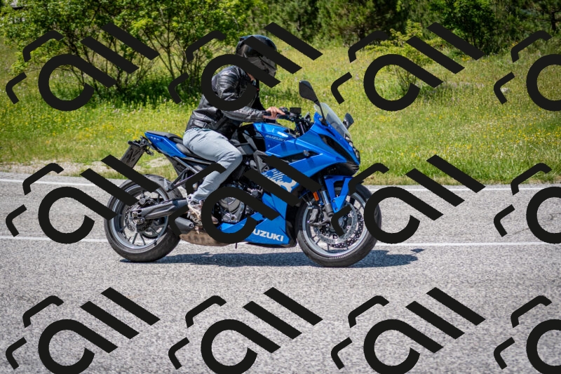 202506081421-DSC_8079_c2